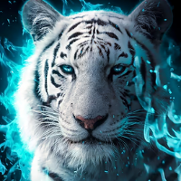 Mr-Tiger-of-Dark